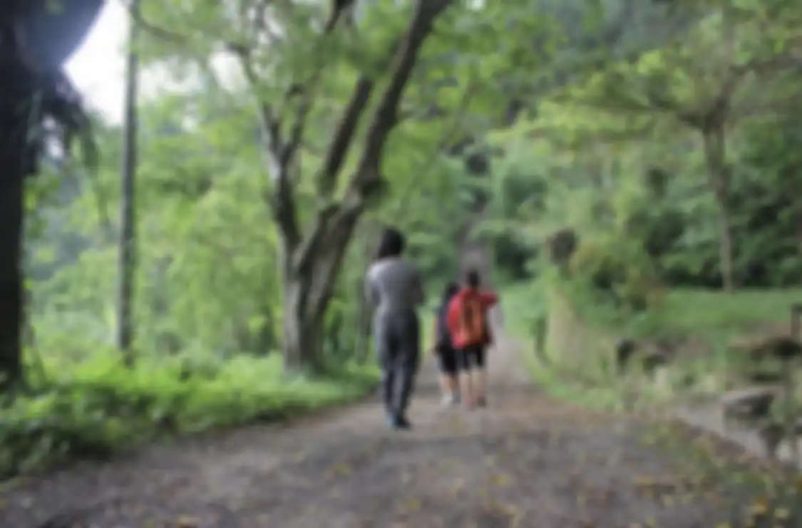 5 foto cantik tempat wisata alam di Bogor yang cocok buat trekking santai bareng pasangan atau keluarga.