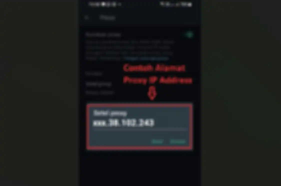 Contoh alamat proxy WhatsApp di Indonesia.