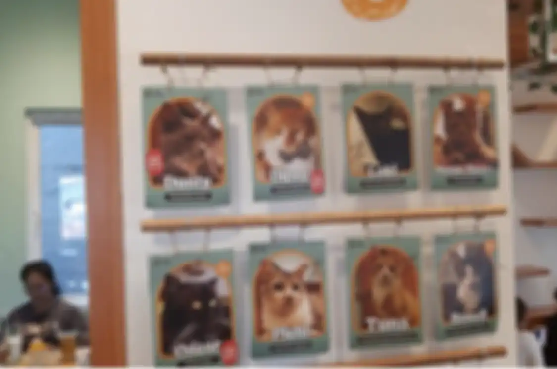 Kafe kucing yang ada di Depok menghadirkan makhluk berbulu lembut yang lucu. Begini cara dapat foto unik di temoat wisata unik ini.