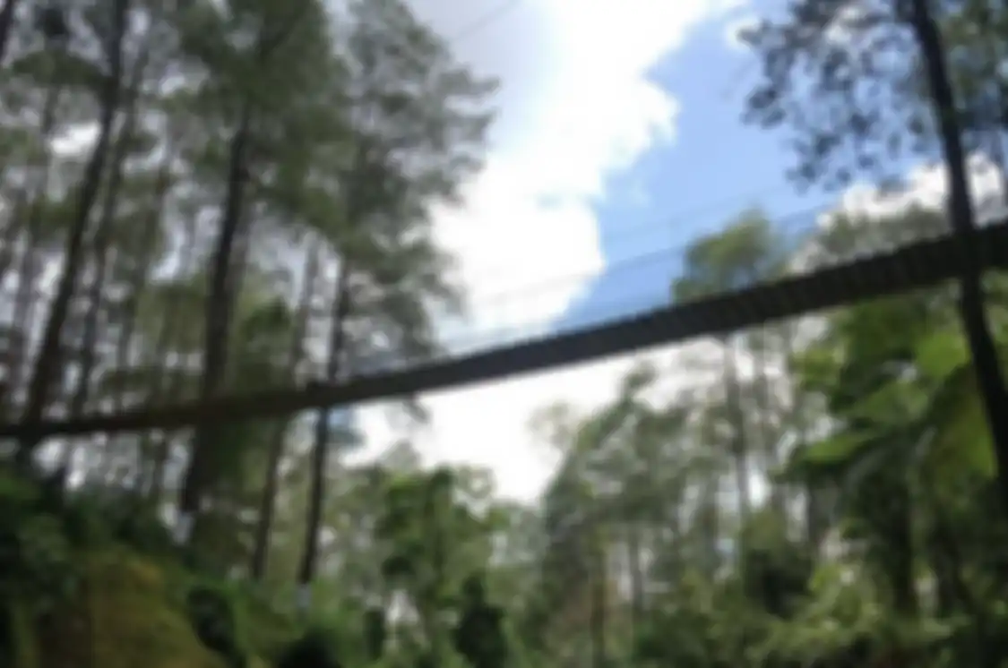 Jembatan gantung yang menjadi salah satu spot foto estetik di tempat wisata hits Lembang.