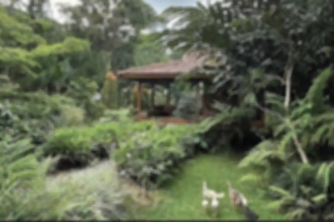 Ini 6 tempat wisata hits di Sentul yang bukan sekadar menjanjikan foto aesthetic tetapi sekaligus cocok buat healing. Buktikan sendiri deh!
