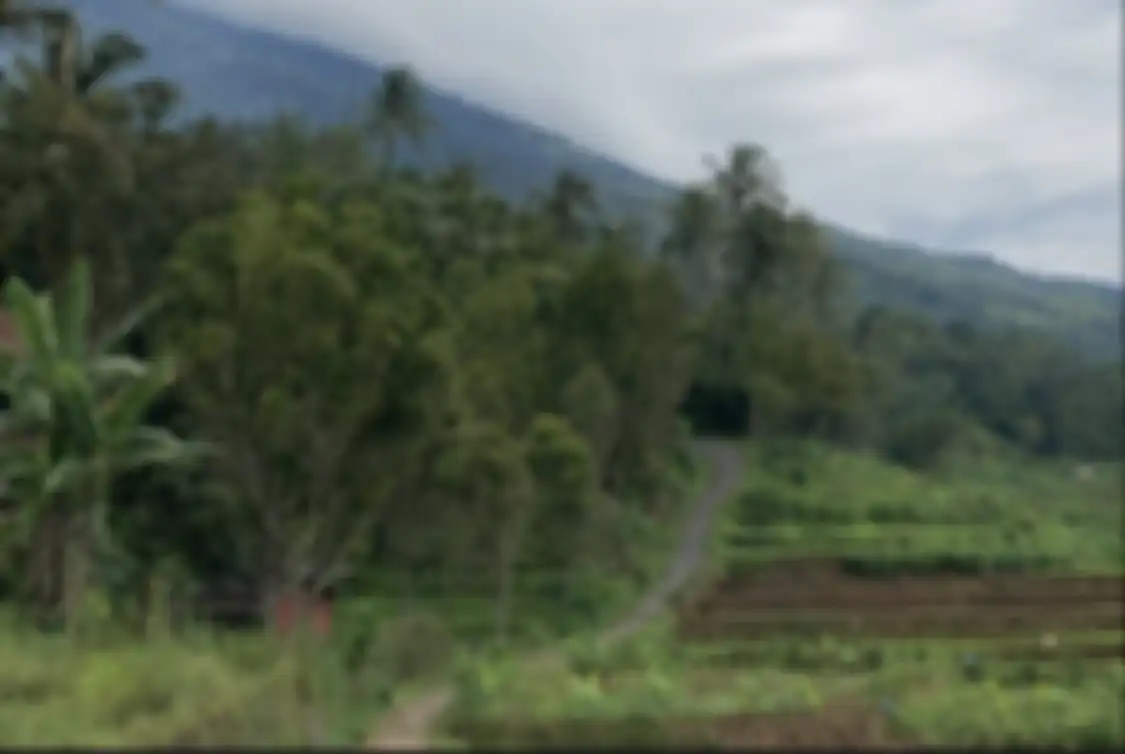 Inilah 7 tempat wisata alam di Kuningan Jawa Barat yang dijamin dapat foto Instagramable. Wajib masuk rencana liburan!