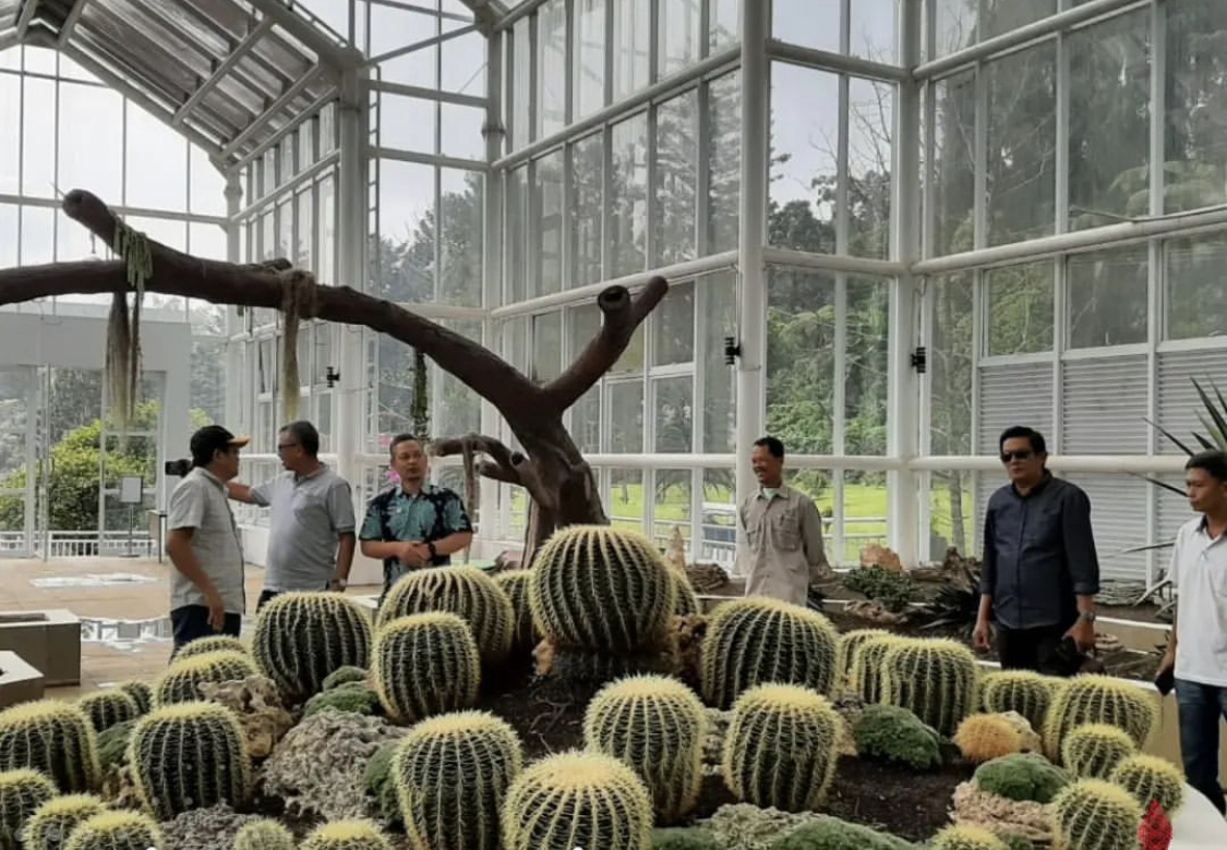 INilah 7 tempat wisata keren di Bogor yang cocok bikin foto aesthetic bareng ayang. Bahkan, tiketnya lebih murah dari kopi Starbucks.