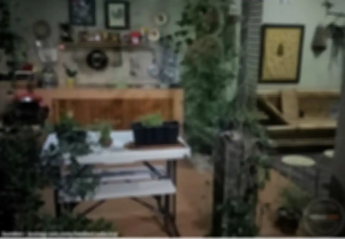Ini trik mujarab pemilik rumah yang dipuji karena foto desain dapur terbuka semakin cantik. Tikus pun tak berani dekat-dekat.