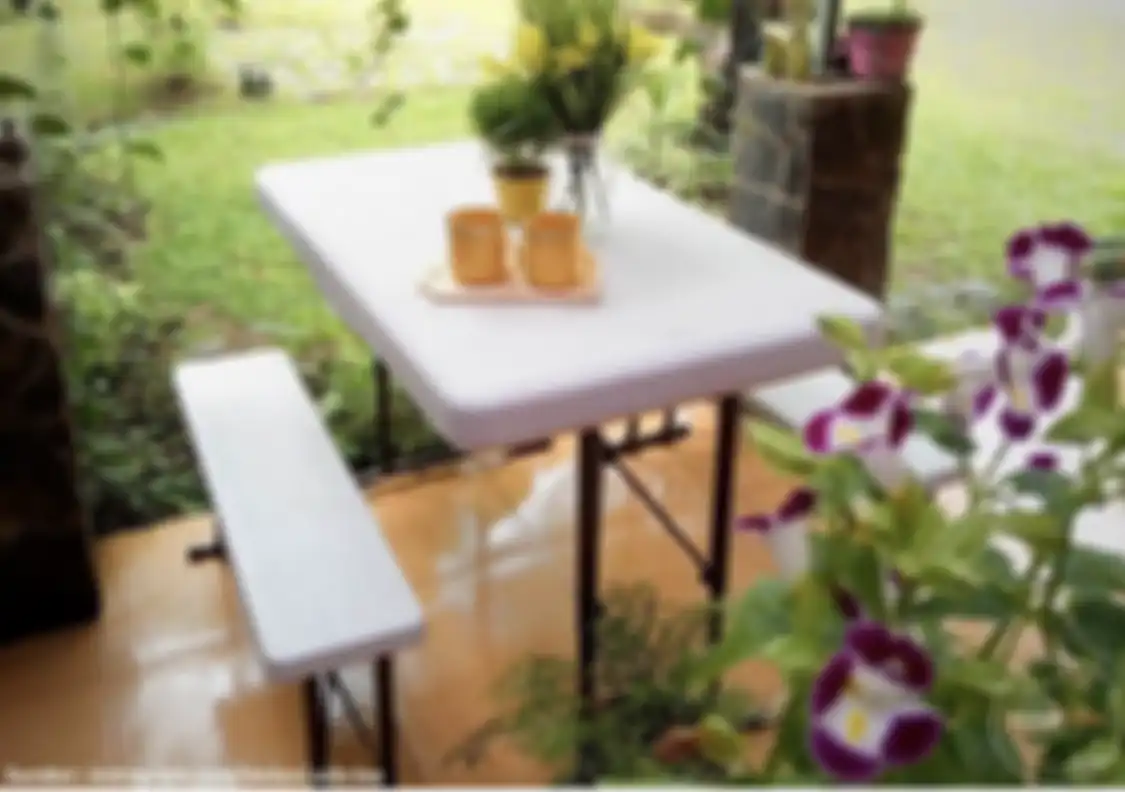 Ini trik mujarab pemilik rumah yang dipuji karena foto desain dapur terbuka semakin cantik. Tikus pun tak berani dekat-dekat.