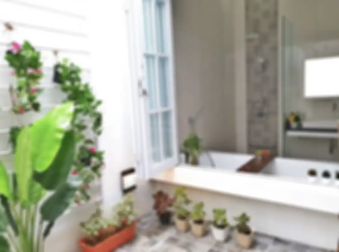 Ternyata ini alasan kenapa tanaman hias sengaja ditaruh di kamar mandi rumah minimalis. Foto interiornya sampai diulas.