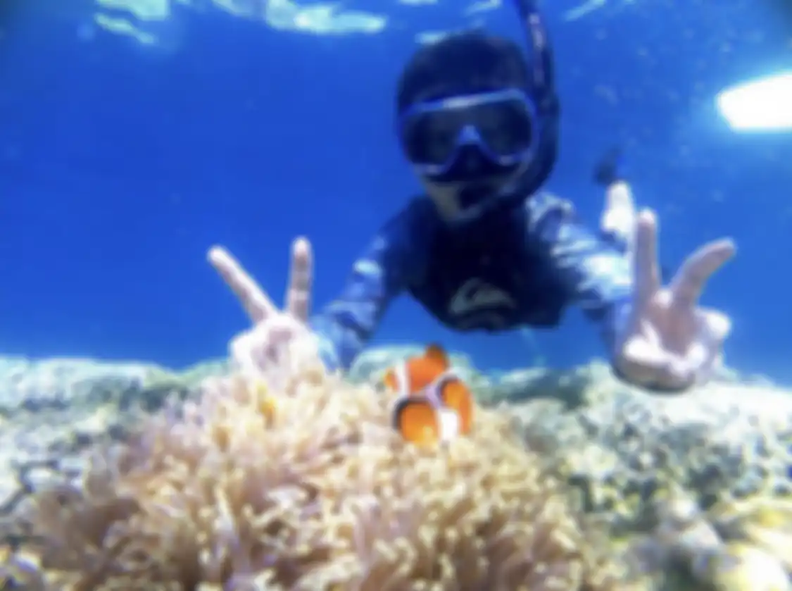 Berikut ini 6 tempat wisata pantai di Bali yang wajib didatangi saat liburan akhir tahun. Sebab, ada banyak spot terbaik buat foto aesthetic.
