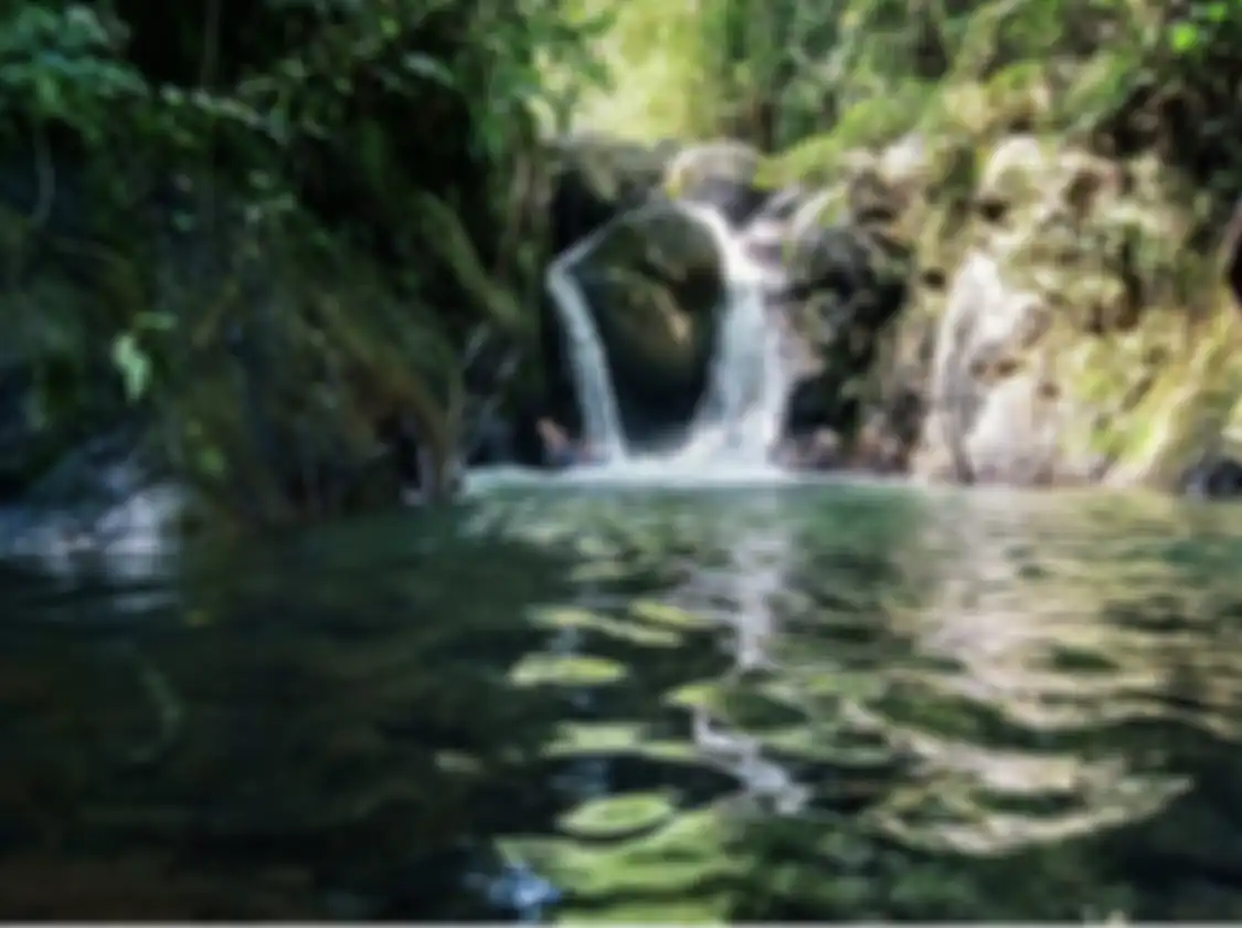 5 foto cantik tempat wisata alam di Bogor yang cocok buat trekking santai bareng pasangan atau keluarga.