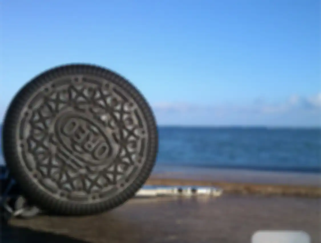 Contoh foto dari dekat dengan memakai hp kamera Android agar hasilnya terlihat tajam atau tidak blur.