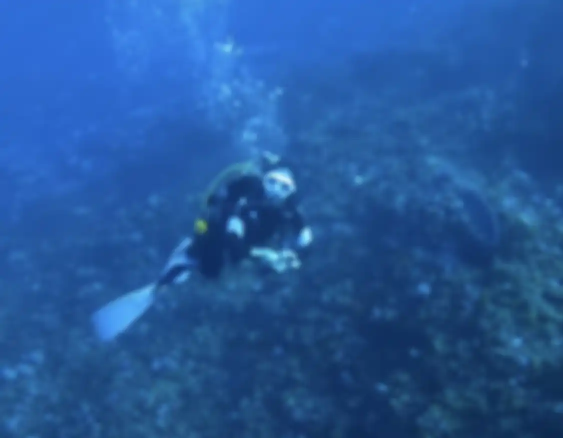 Gisel sampai posting foto begini saui diving di spot terbaik di Kepulauan Alor, Nusa Tenggara Timur. Gisel dibikin ketagihan.