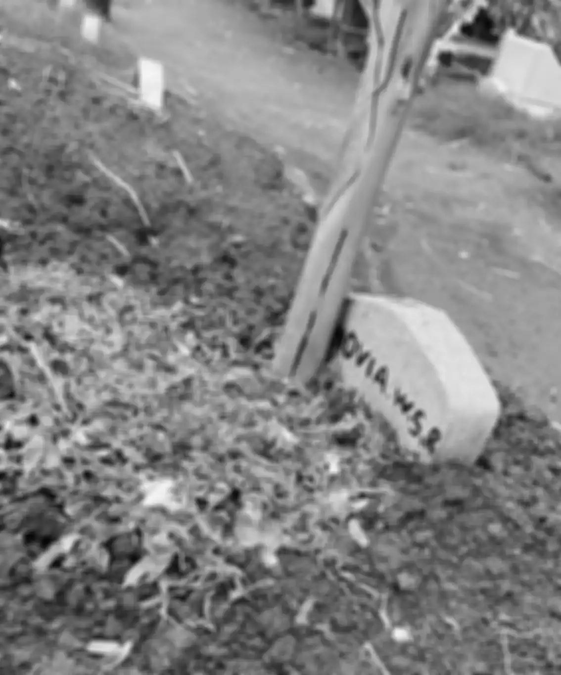 Foto jasad Novia Widyasari yang dipeluk sang ibunda di sisi makam ayah mahasiswi Universitas Brawijaya itu viral. Netizen syok baca curhatnya.