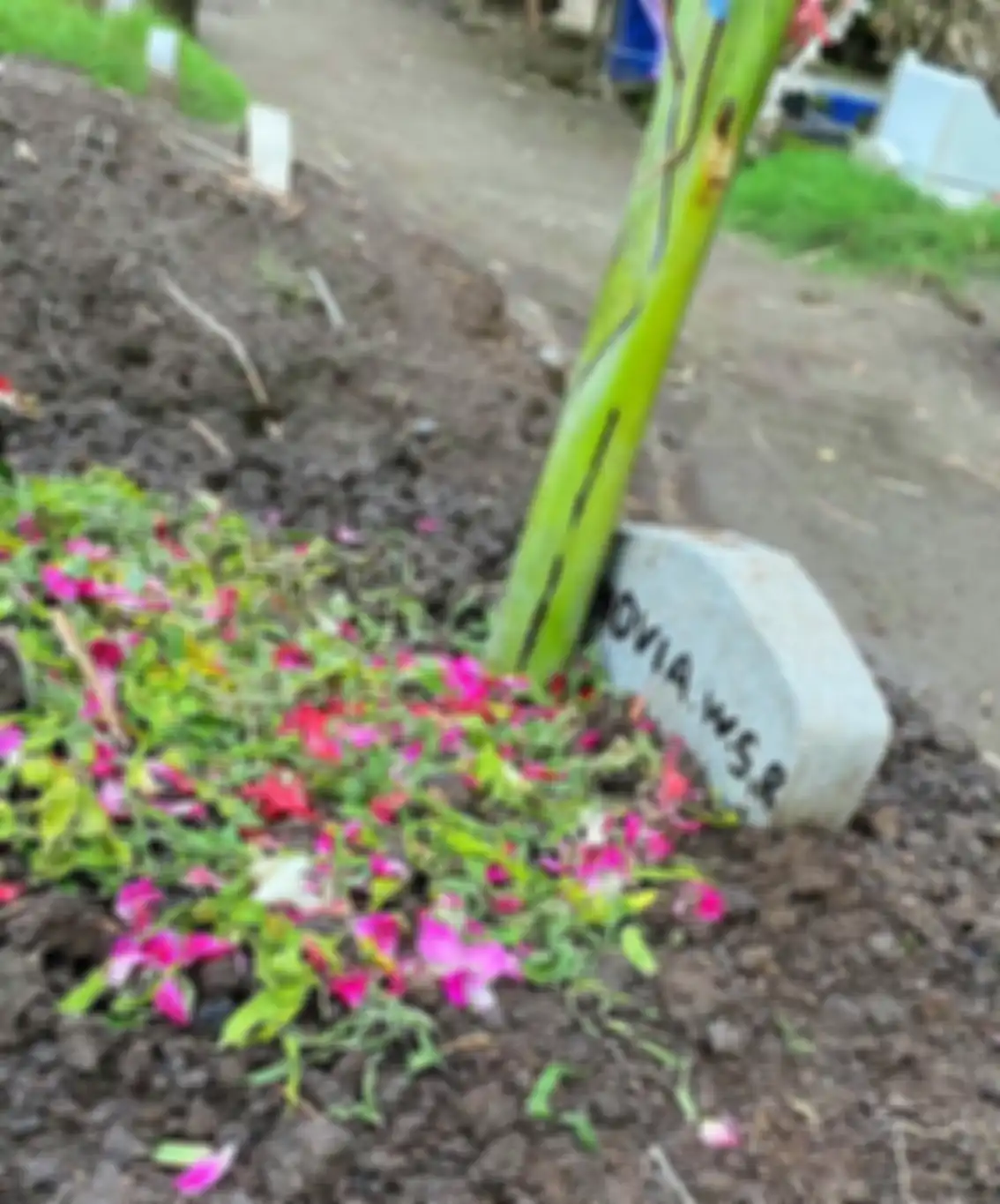 Foto jasad Novia Widyasari yang dipeluk sang ibunda di sisi makam ayah mahasiswi Universitas Brawijaya itu viral. Netizen syok baca curhatnya.