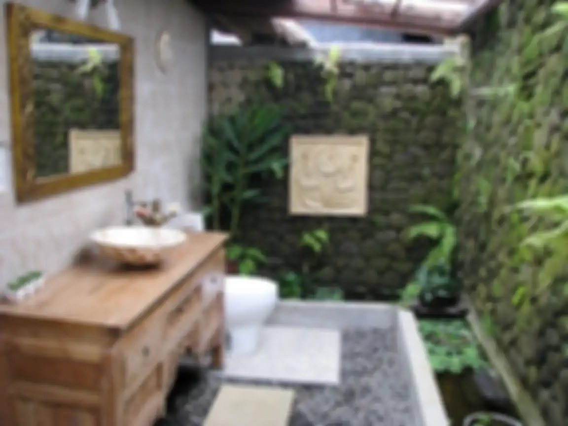 Ilustrasi kamar mandi alami.