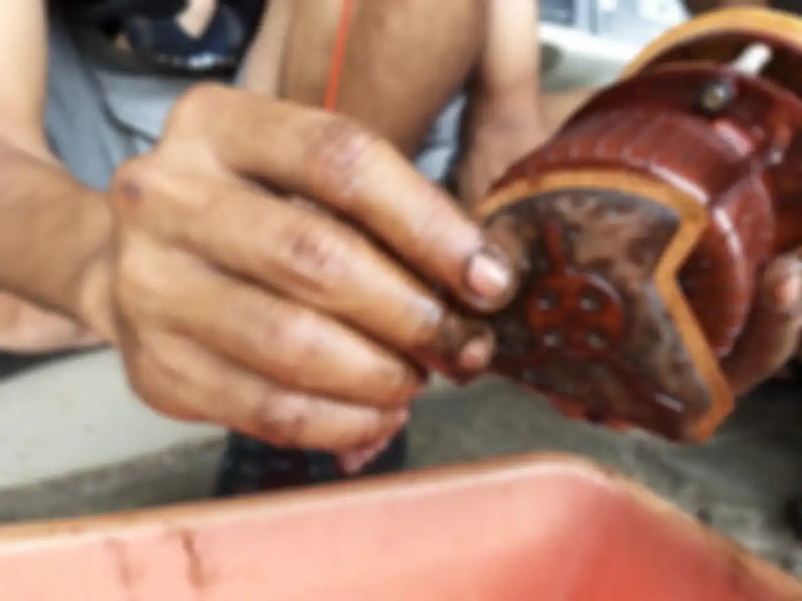 Filter fuel pump kotor