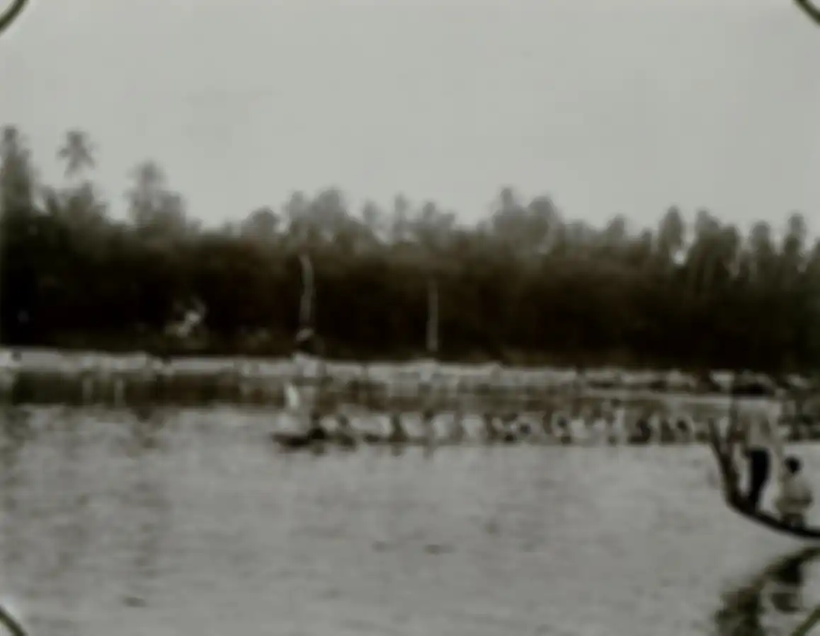 Suasana Pacu Jalur pada zaman pemerintah kolonial Hindia Belanda pada 1927 (KITLV/Wikipedia Commons)