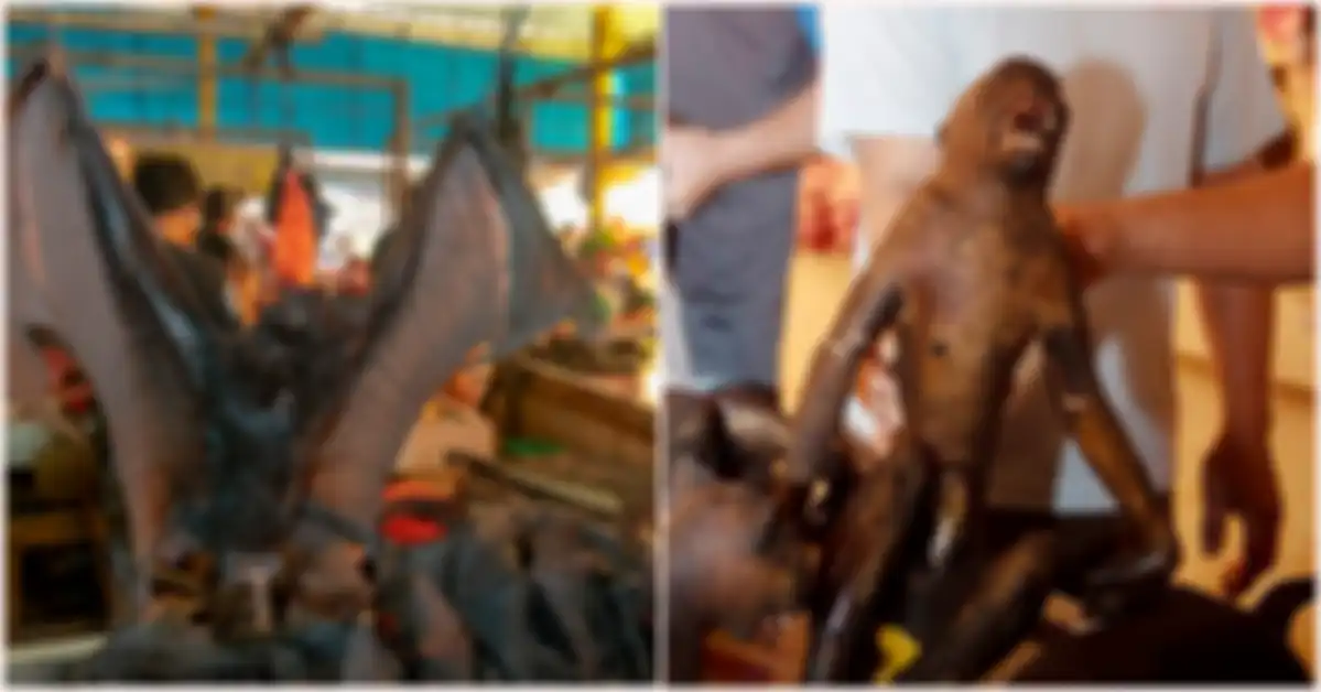 Pasar Tomohon menjual hewan-hewan ekstrem mirip dengan yang ada di Wuhan.