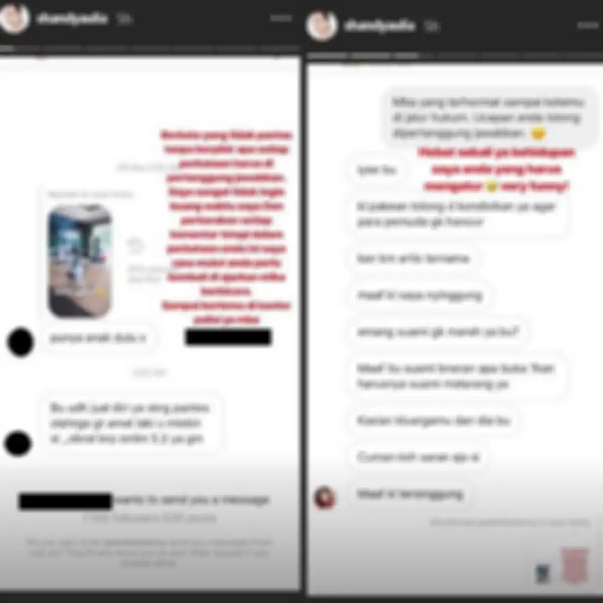 Shandy Aulia perkarakan netizen yang membuly dirinya