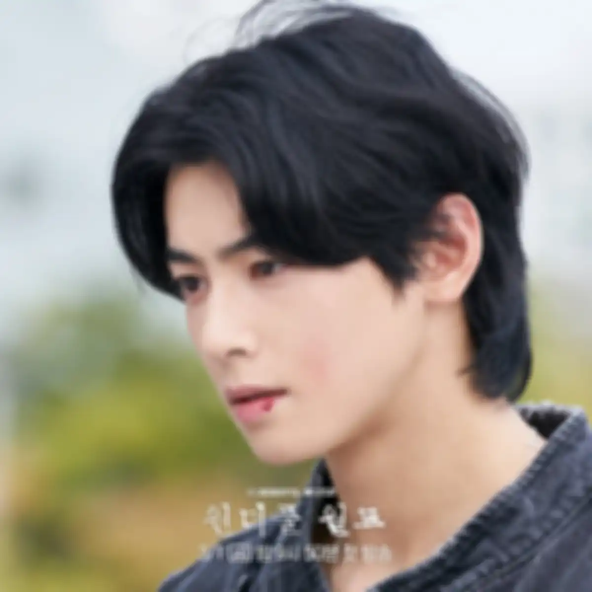 drama Korea Wonderful World