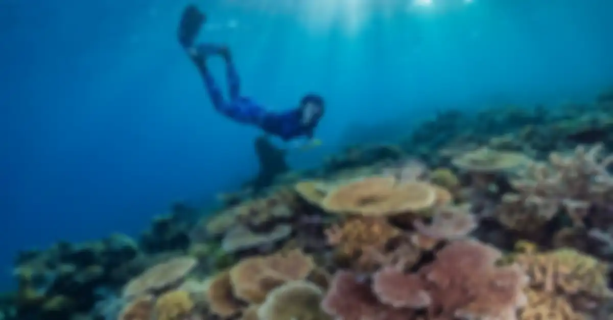 Sensus Karang di Great Barrier Reef akan menggunakan teknologi Deep Learning dari Dell
