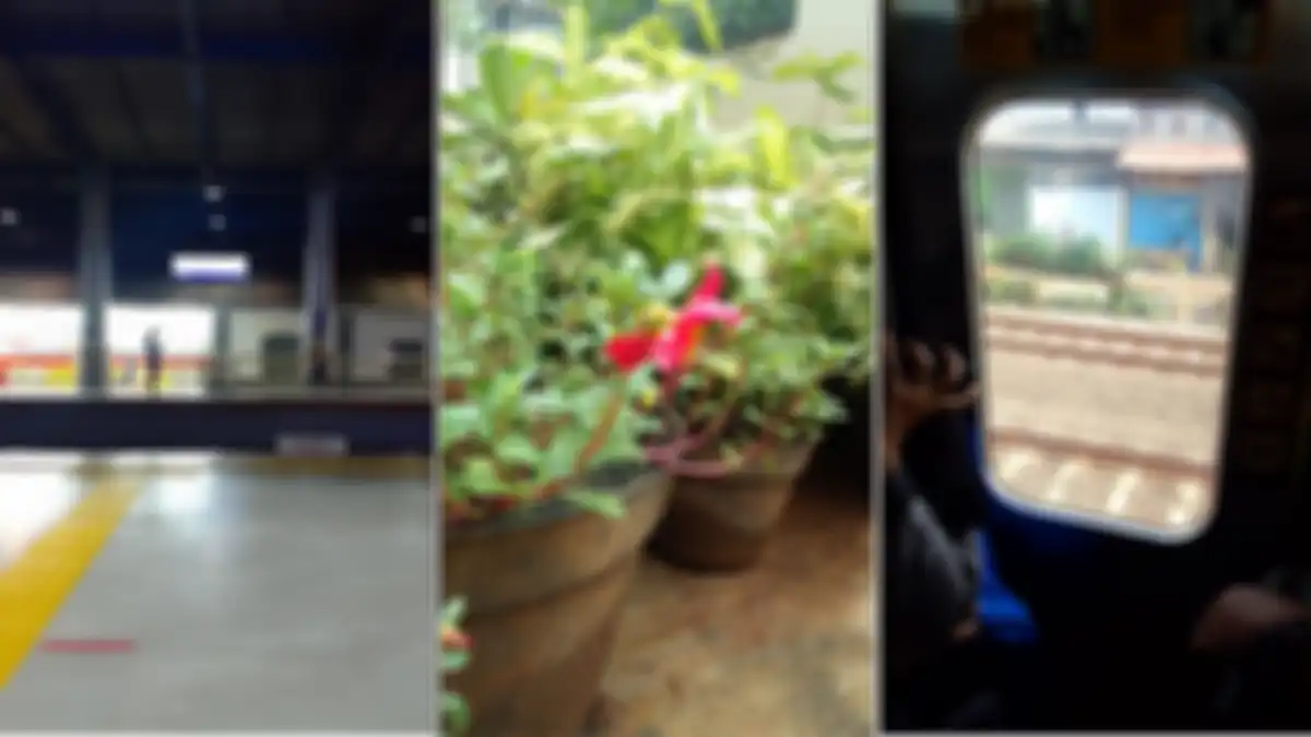 Hasil foto Kamera belakang Samsung Galaxy A03 Core