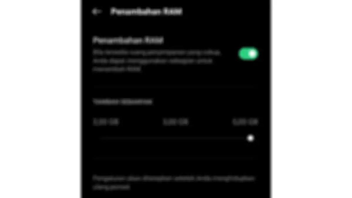 Menu pengaturan RAM Expansion