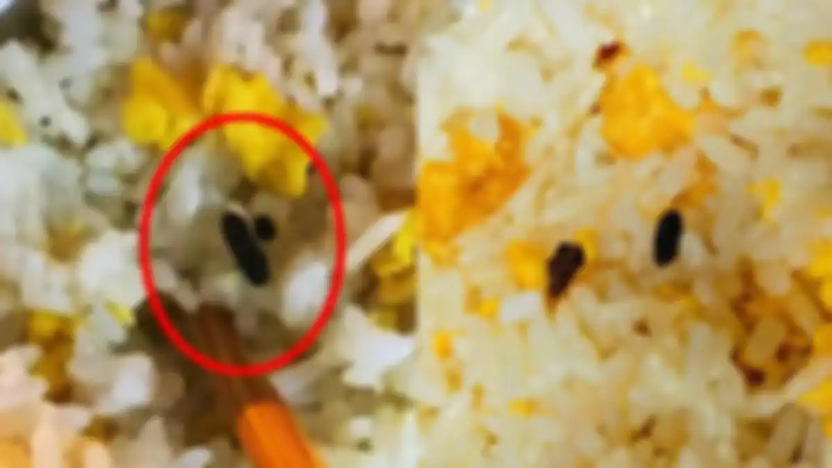 Biji beras yang gosong tergoreng hingga gosong dikira kotoran tikus dalam nasi. 