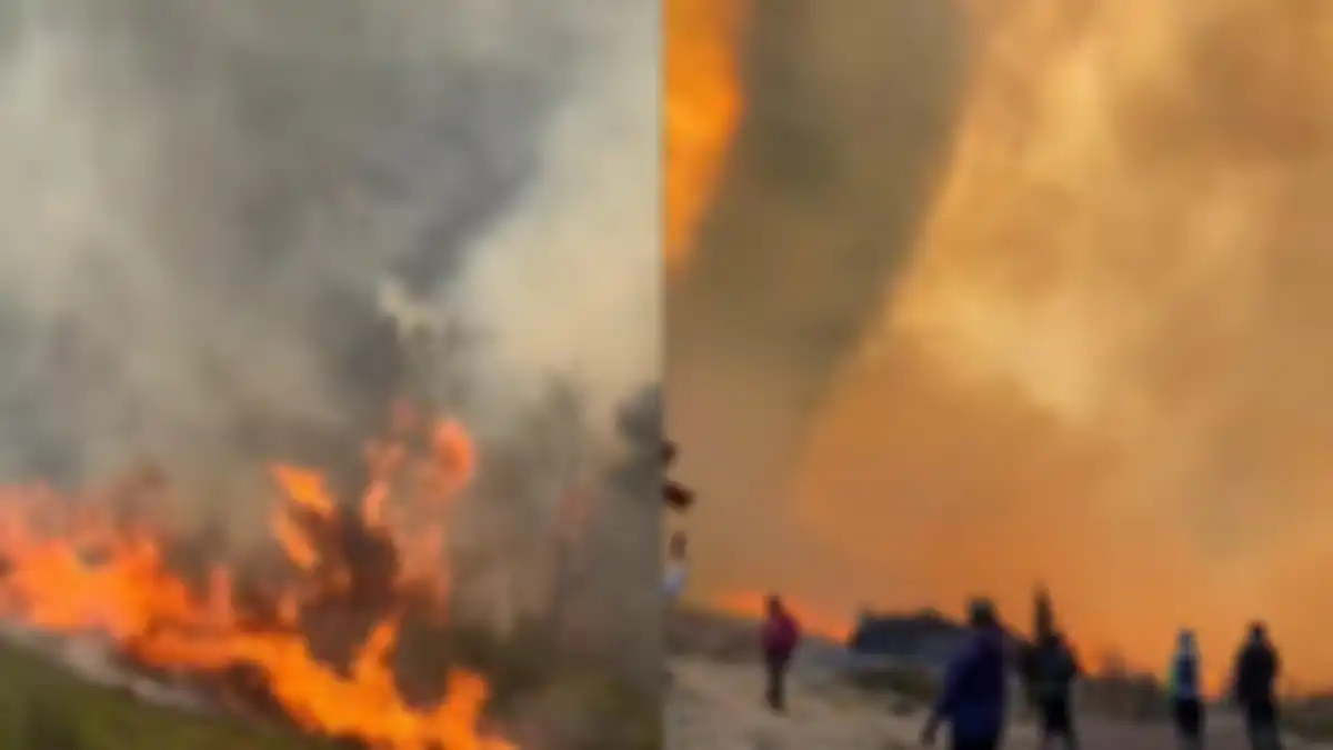 Kondisi kebakaran di Bromo semakin meluas 