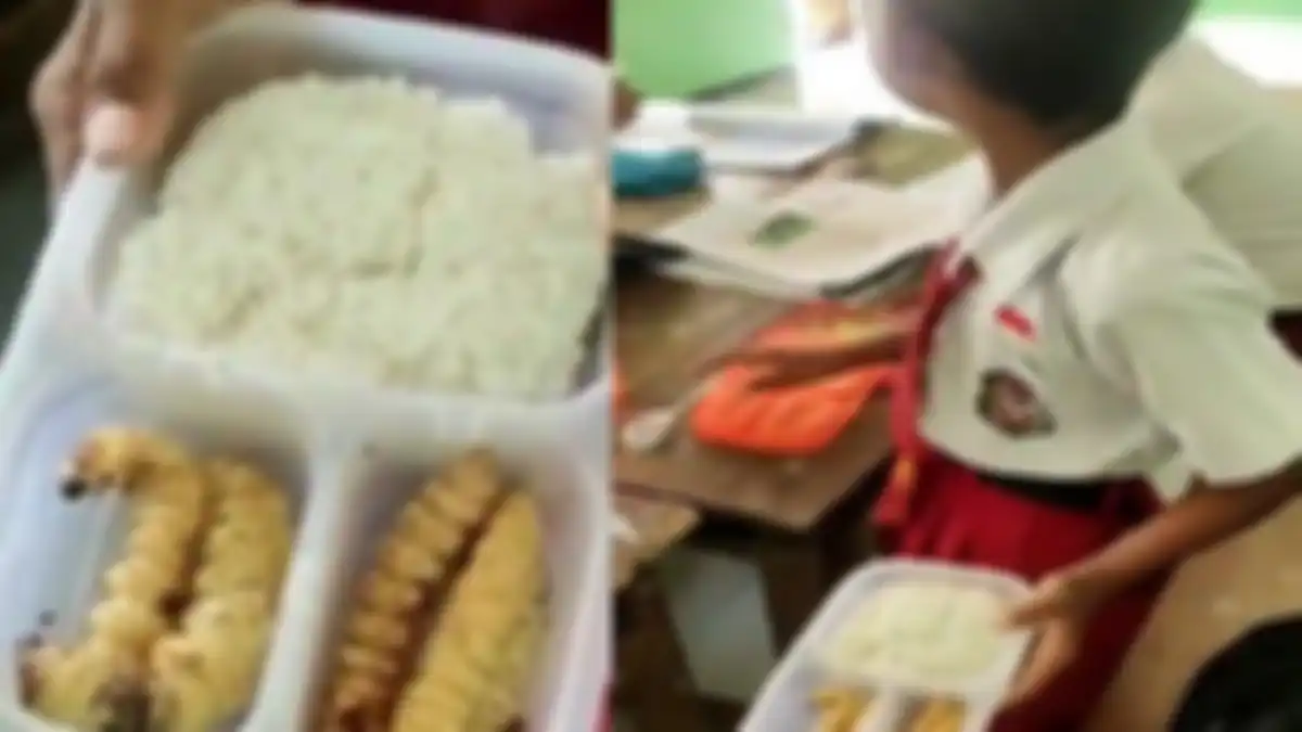 Bocah SD bawa bekal lauk ulat sagu ke sekolah