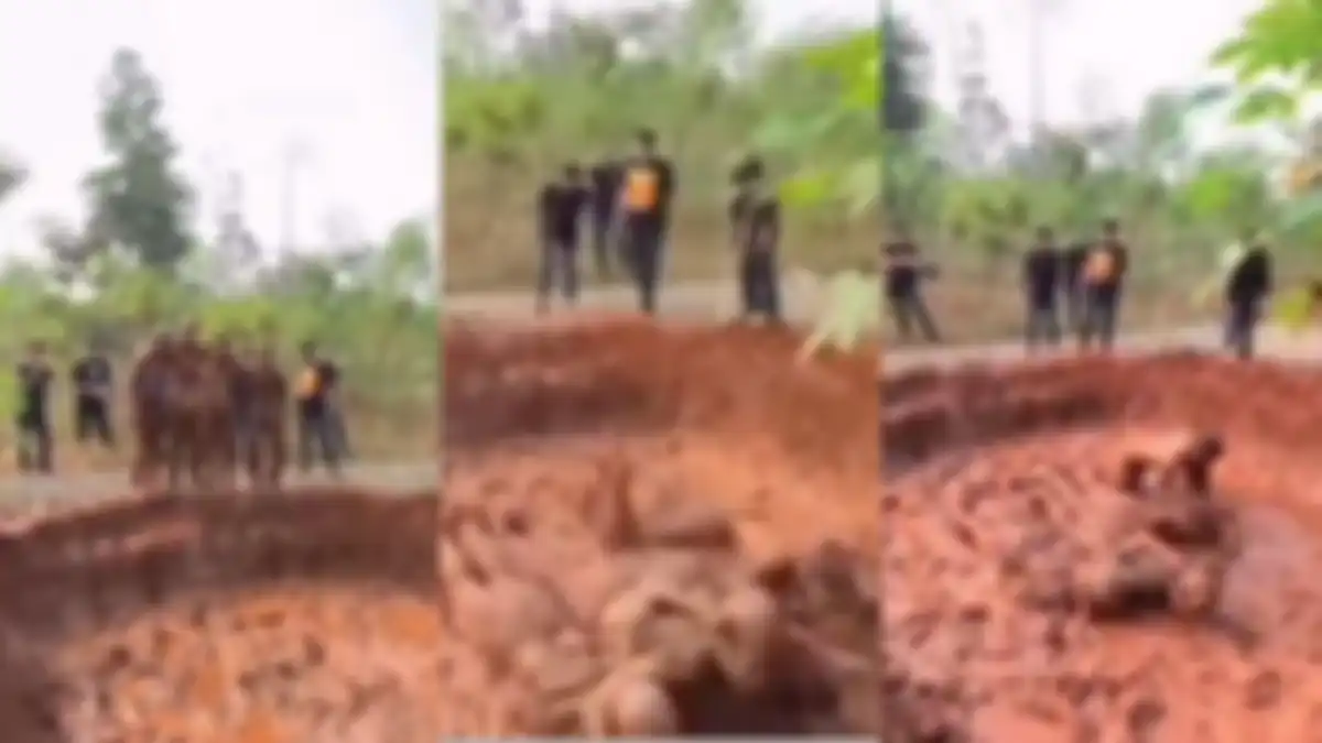 Viral aksi perpeloncoan terhadap sejumlah mahasiswa di Rumpin Bogor, polisi panggil Ketua BEM. 