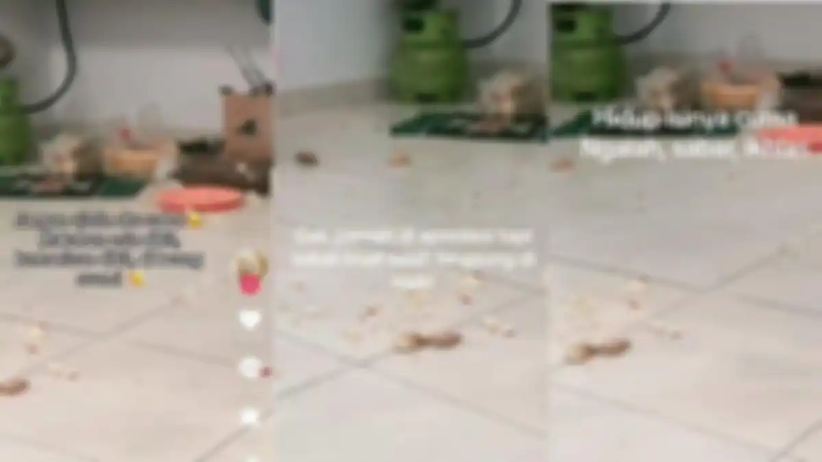Curhatan istri punya suami tempramental. Suka lempar makanan kalau rasanya keasinan atau kemanisan