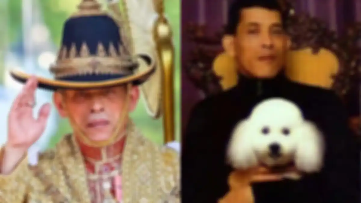 Biaya kremasi anjing kesayangan raja Thailand Vajiralongkorn bernama Fufu capai Rp31 miliar. 