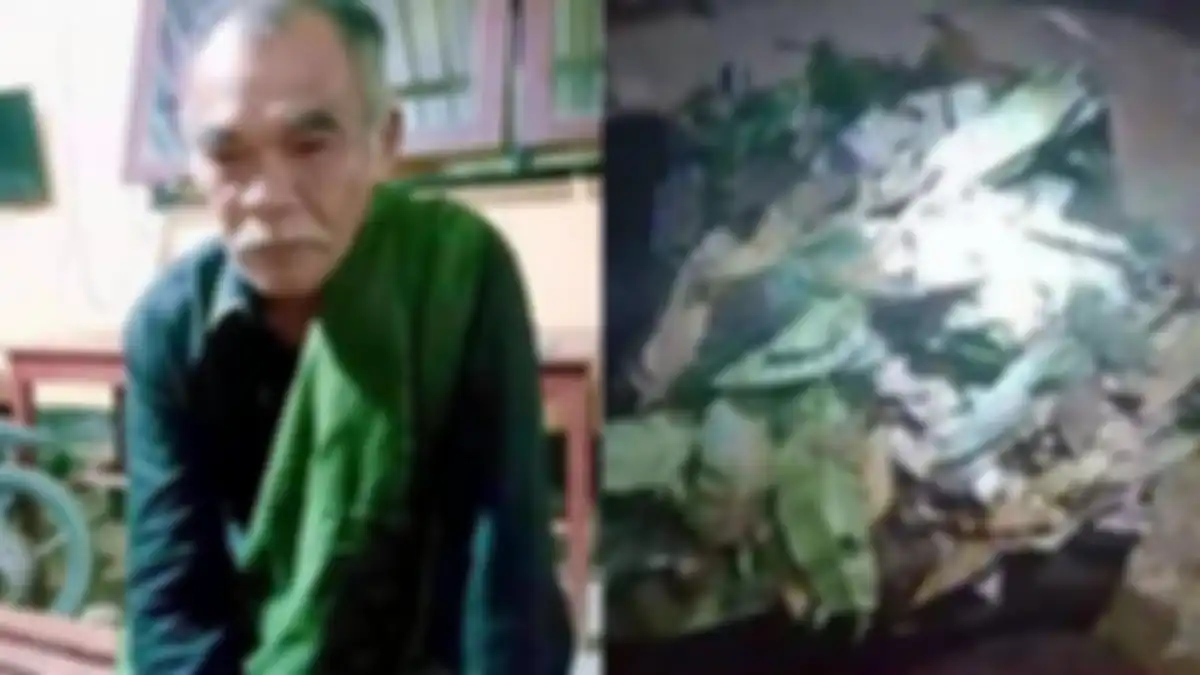 bukan uang, ternyata koper yang diberikan si kakek berisi daun kering