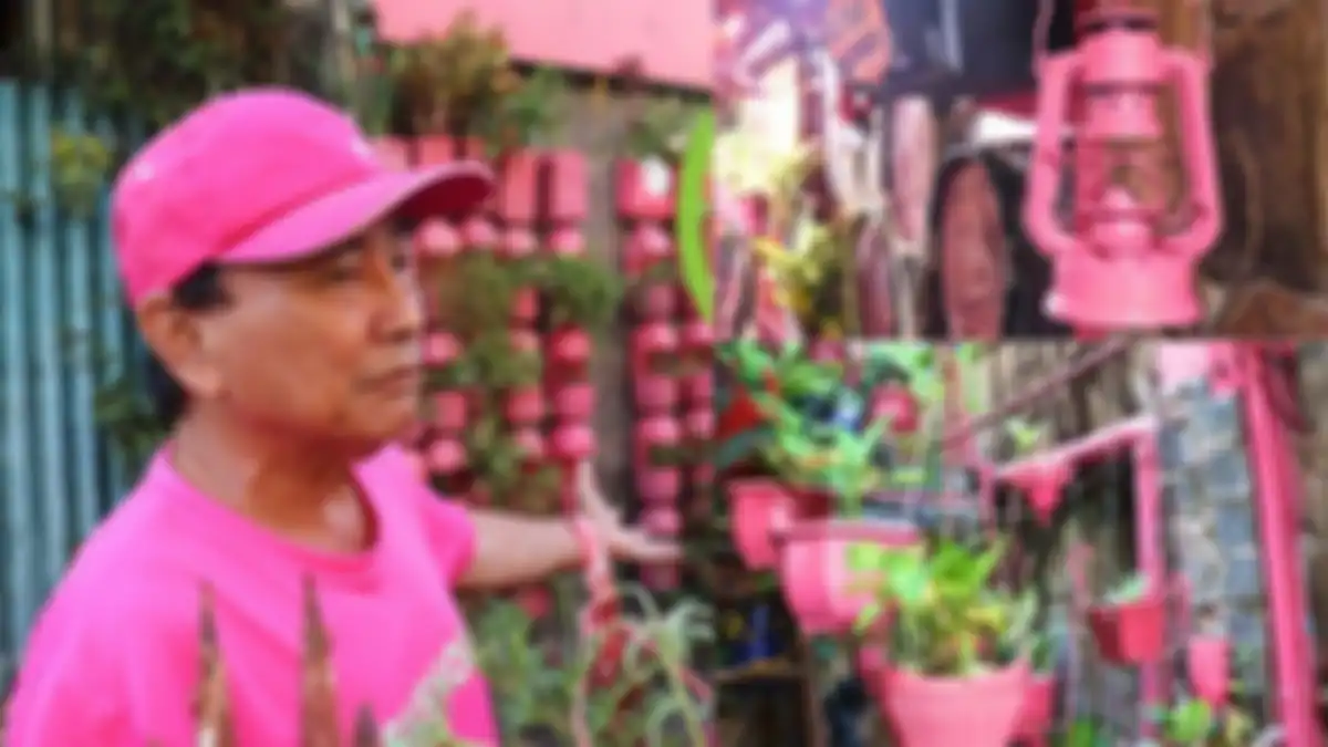 Phan Van Chanh(69) asal Vietnam adalah bapak-bapak penyuka warna pink.