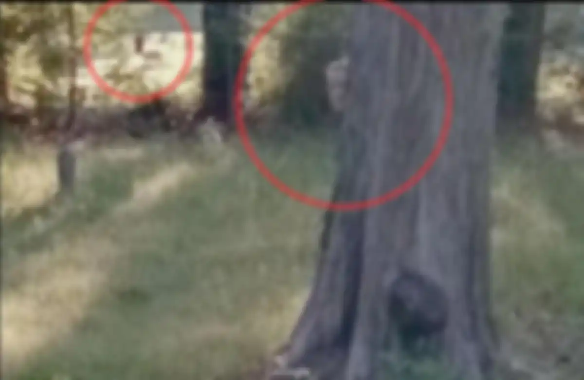 Penampakan Misterius di Google Maps