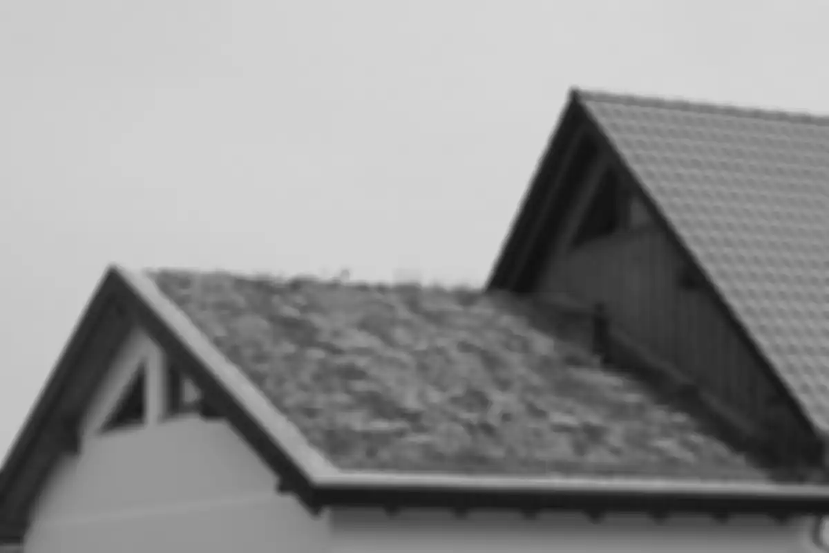 Atap hijau mengurangi suhu hingga 30 derajat dan membuat rumah jadi hemat energi.