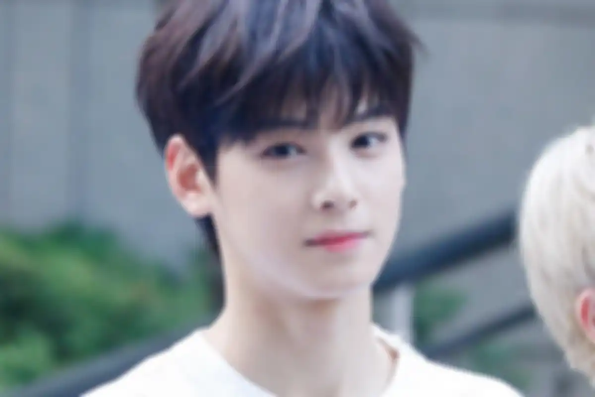 Cha Eun Woo
