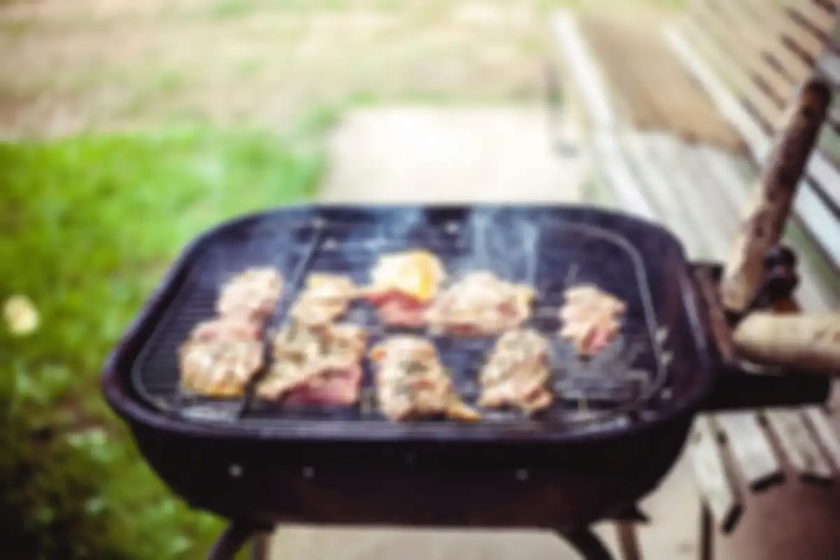 Ilustrasi barbecue