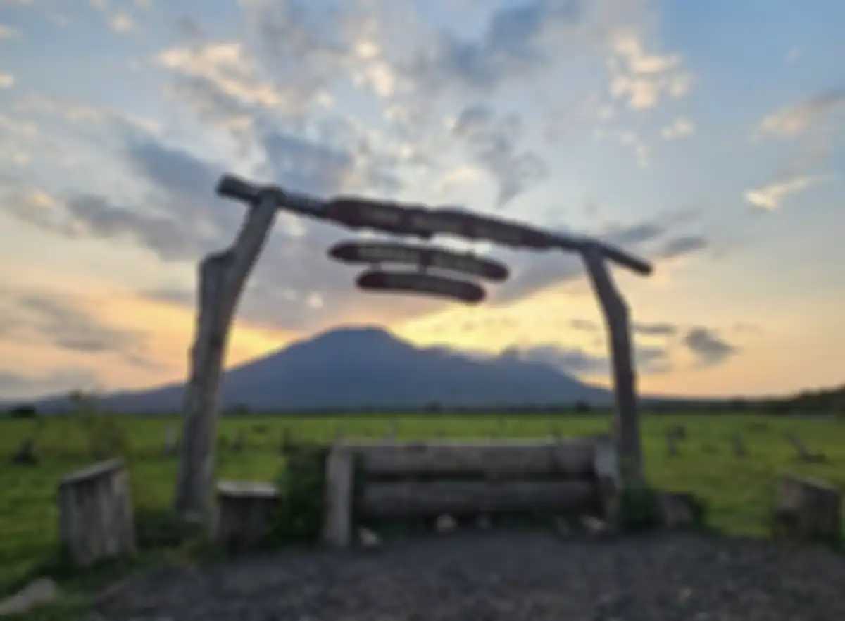 Foto pemandangan di Taman Nasional Baluran, Banyuwangi, Jawa Timur, dalam rangka acara Share the Epic Trip by Samsung Indonesia (13/3/23)