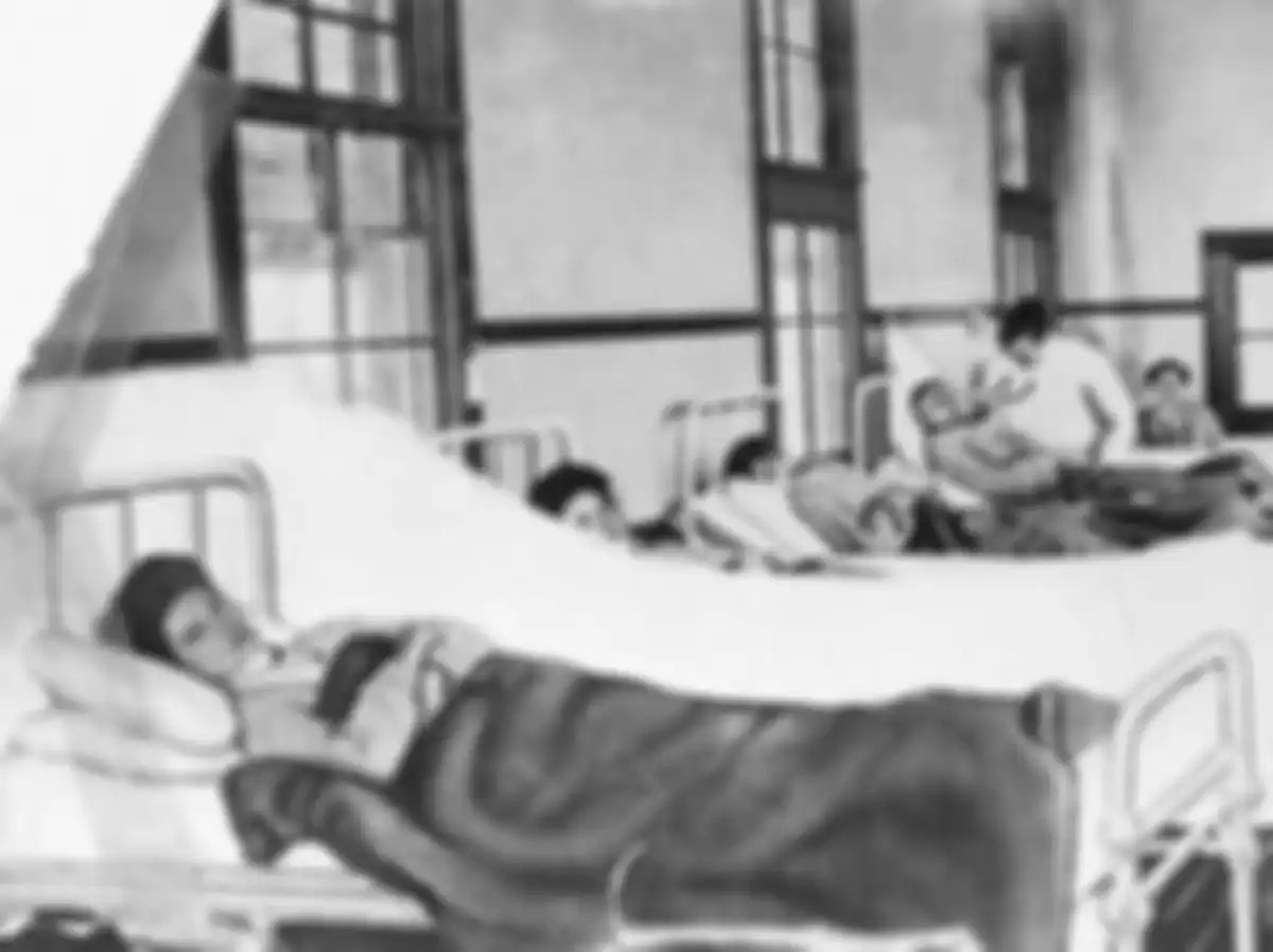'Tifus Mary' wabah tifus yang dibawa oleh seorang juru masak.