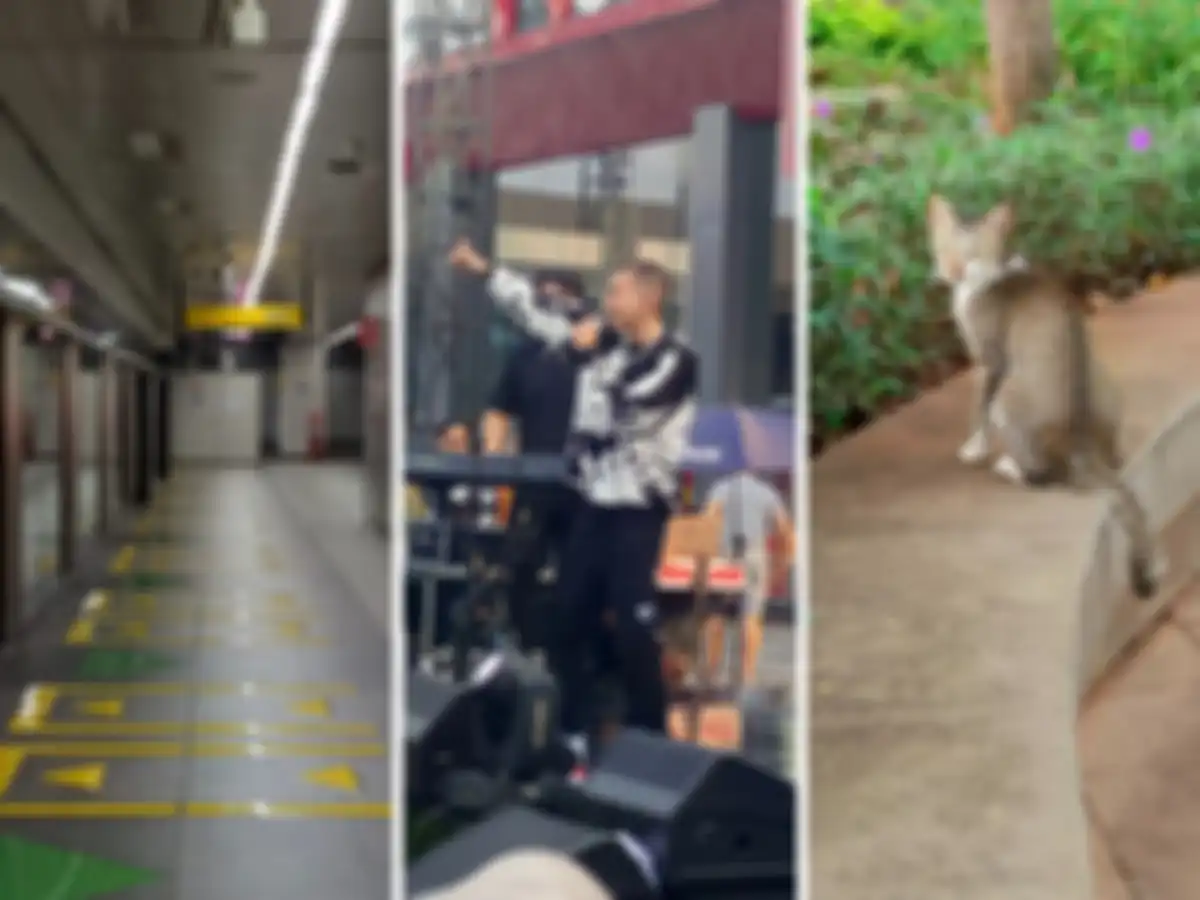 Hasil zoom foto 2 kali di Infinix Zero 30 5G