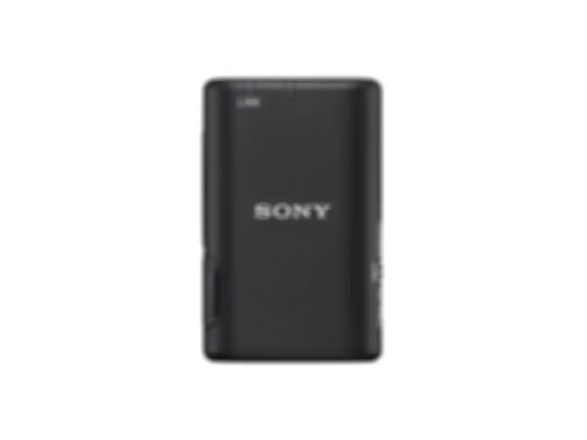 Sony ECM-W3s