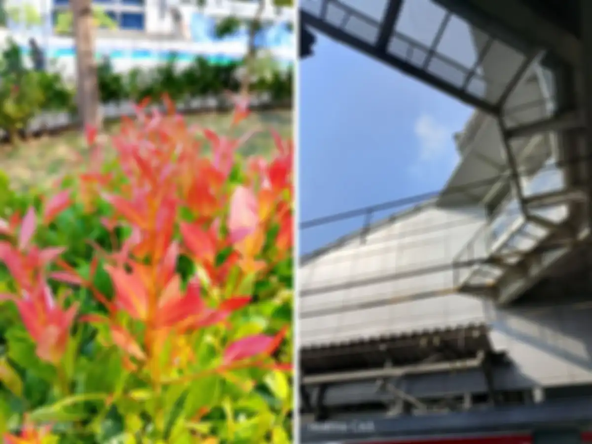 Hasil foto kamera utama realme C63