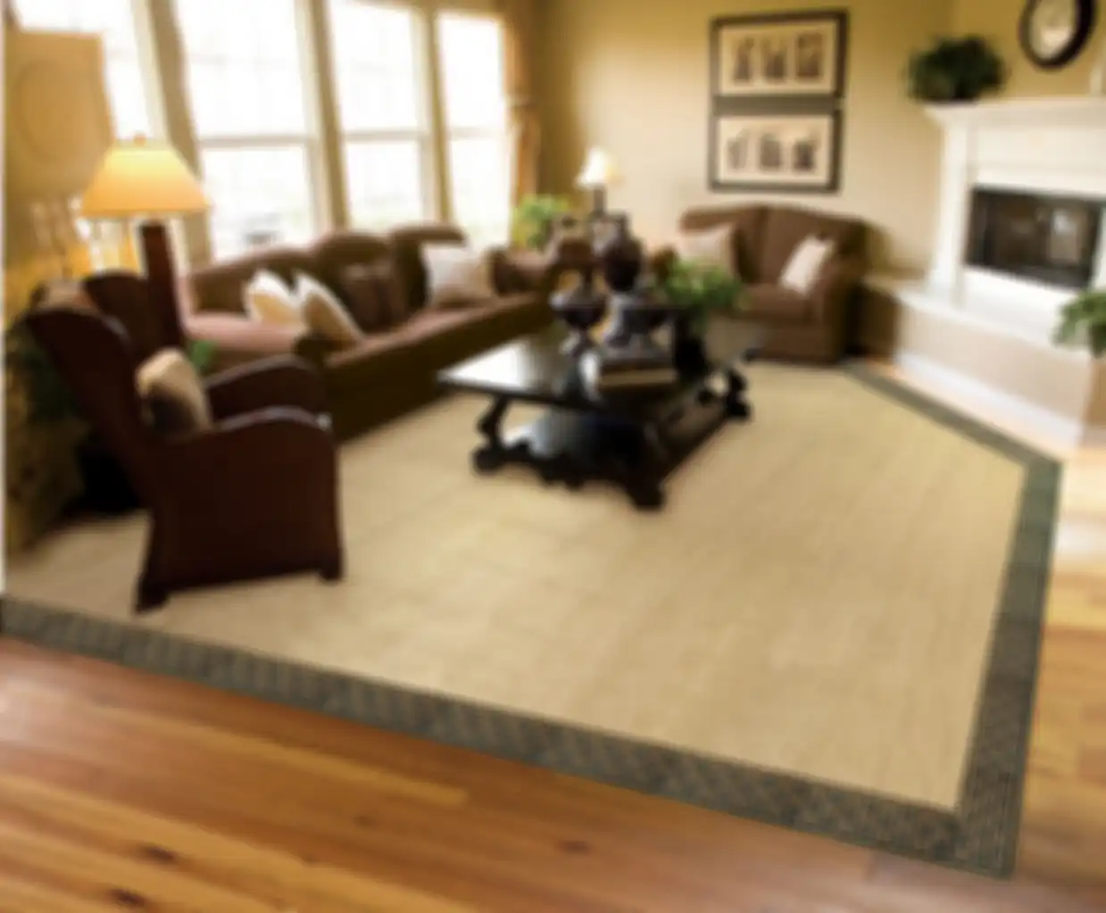 Area Rugs