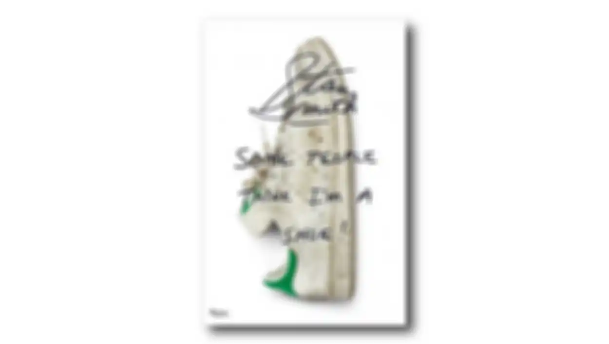 Buku Stan Smith: Some People Think Im A Shoes 