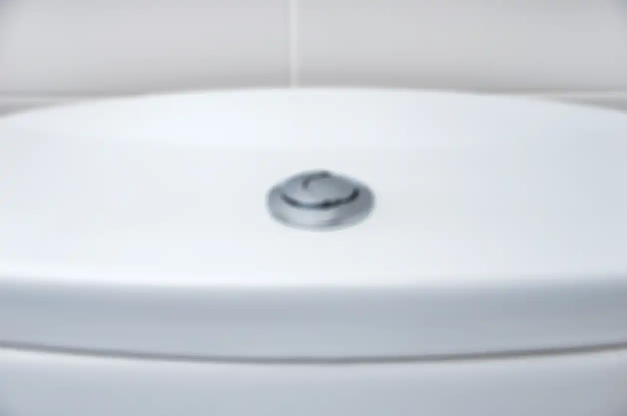 Tombol flush toilet.