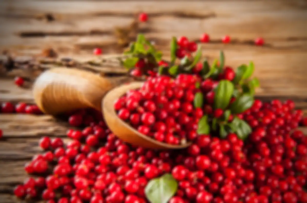 Cranberries ternyata memiliki manfaat dalam melawan infeksi saluran kemih pada anak-anak.