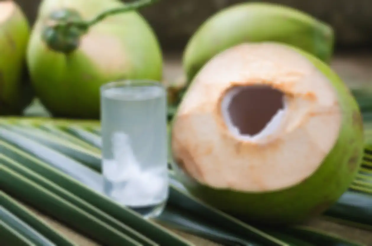 Manfaat air kelapa untuk kesehatan tubuh.