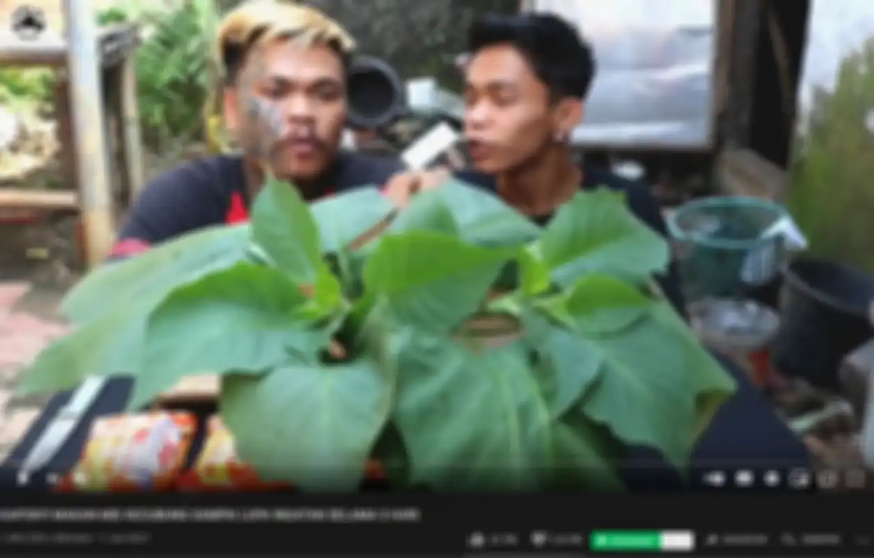2 pria yang nekat campur daun kecubung dengan mie demi konten youtube