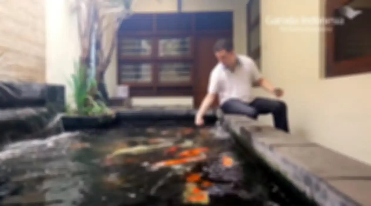 Erik, suami Maudy, asyik memberi makan ikan peliharaan