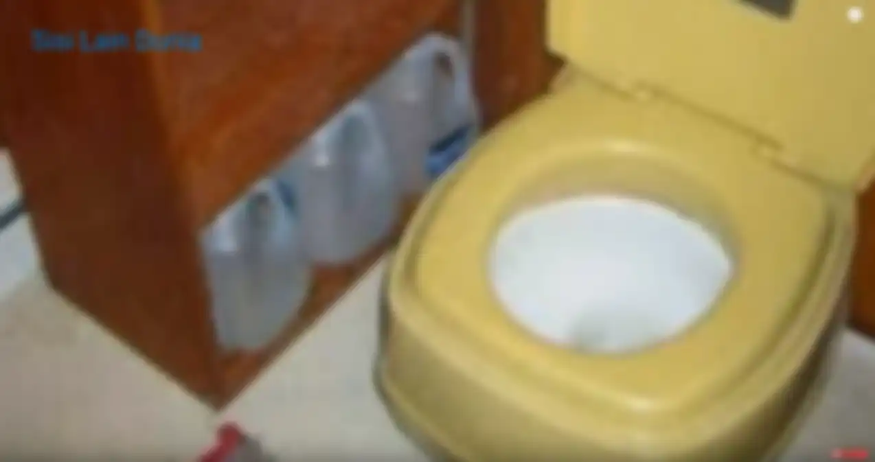 Jamban atau toilet tengah hutan yang dalamnya mengejutkan